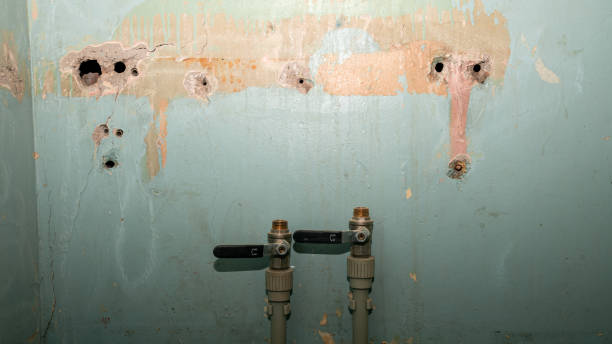 Best Local water damage restoration  in Eveleth, MN