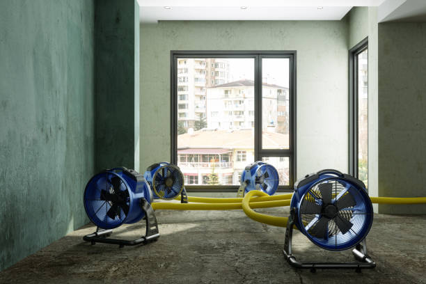 Best 24/7 water damage repair  in Eveleth, MN